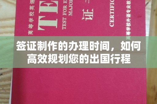 永新签证制作的办理时间，如何高效规划您的出国行程